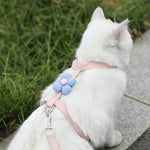 Cat Harness and Leash Sets Adjustable Dog Harness for Small Dog Leash Breashable Pet Harness Out Walking Dog Strap Cat Accessory shimendi Sécurité et Confort pour Chien chat| Shimendi