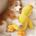Calming Duck Toy for Dogs Squeaky Interactive Soft Comfort Teething Supplies Dog Toys Plush for Travel Beach Pool Park Yard - shimendi