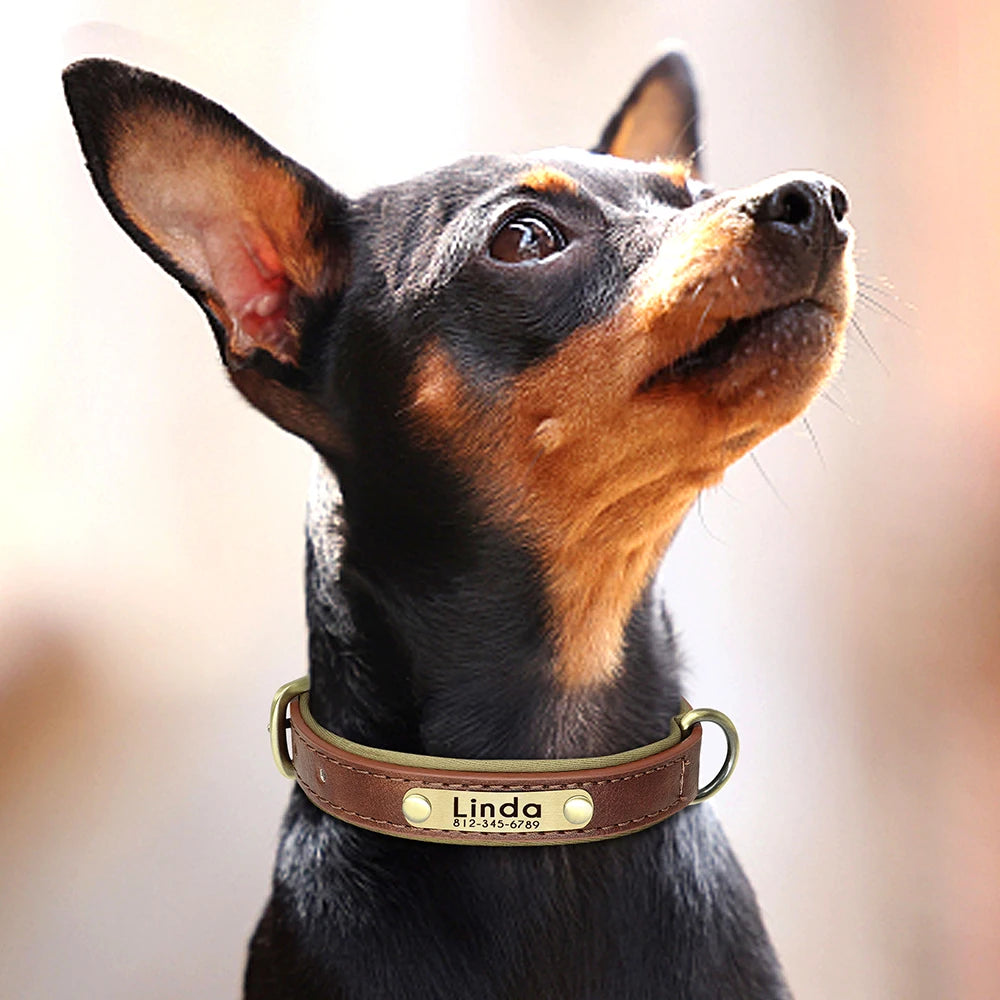 Customized PU Leather Nameplate Dog Collar Soft Padded Dogs Collars Free Engraving Name for Small Medium Large Dogs Adjustable