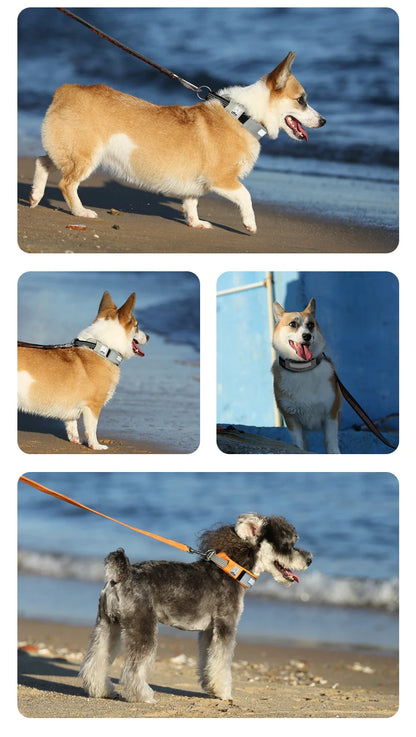 Truelove Pet Collar Reflective Multifunctional Personalized Dog Collar DuPont Soft Breathable Adjustable for Large Dogs TLC5611