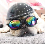 ATUBAN Pet Helmet and Goggles Set, 2 PCS Helmet and Sunglasses Pet Cap Hard Hat Adorable Puppy Goggles for Small Pets - shimendi