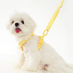 Adjustable Dog Harness Collar Leash Set Macarone Color, Reflective Small Dog Accessories for Puppy & Cat Supplies, Pet Walking - shimendi