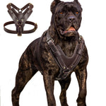 Durable Large Dog Harness Genuine Leather Dog Vest Harnesses Adjustable Quick Control With Handle Pet Supplies For Labrador shimendi Sécurité et Confort pour Chien chat| Shimendi