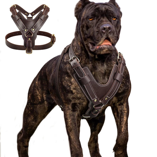 Durable Large Dog Harness Genuine Leather Dog Vest Harnesses Adjustable Quick Control With Handle Pet Supplies For Labrador shimendi Sécurité et Confort pour Chien chat| Shimendi
