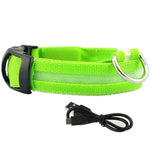 USB Charging LED Dog Collar Anti-lost Safety Night Light Luminous Dogs Necklace Adjustable Nylon Pet Glowing Collars Supplies shimendi Sécurité et Confort pour Chien chat| Shimendi