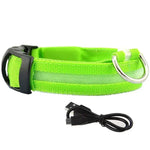 USB Charging LED Dog Collar Anti-lost Safety Night Light Luminous Dogs Necklace Adjustable Nylon Pet Glowing Collars Supplies - shimendi