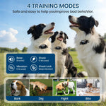 3300 FT Dog Training Collar Rechargeable Remote Control IP67 Waterproof Shock Vibration for 1 Dog with Lockable Shock For Dogs shimendi Sécurité et Confort pour Chien chat| Shimendi