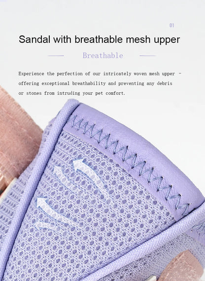 Truelove Breathable Dog Shoes with TPR Sole Flexible Protectable Soft Outsole Classic Outdoor Dog Boots All Breed 4Pcs TLS3962