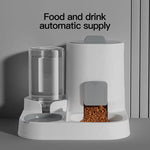 1-Pack Automatic Gravity-Fed Cat Water Dispenser & Feeder - Spill-Proof Large Capacity One-Piece Design, - shimendi