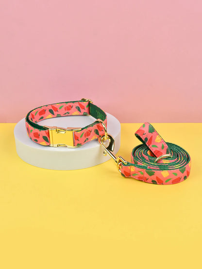Luxury Brand Summer Colorful Season Adjutable Dog Collar And Leash Set For Small Medium Large Dogs