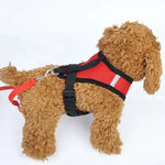 Cat Harness Vest Walking Lead Leash for Puppy Dogs Collar Polyester Adjustable Mesh Dog Harness for Small Medium Pet Accessories - shimendi
