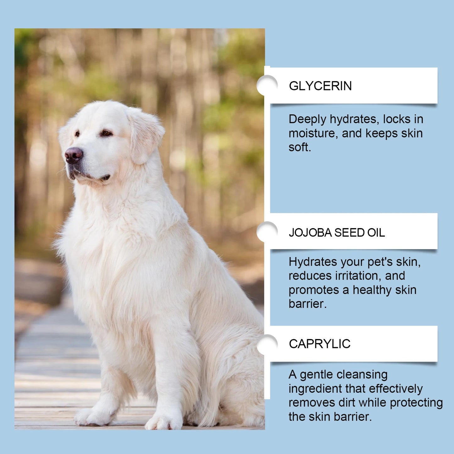 Pet Dental Care Kit for Dogs and Cats Teeth Cleaning Set Toothbrush 30ml Oral Solution Tartar Control Fresh Breath Gentle Hygien