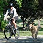 Bicycle Walking Dog Leash, Dog Leash, Removable Elastic Dog Bicycle Leash, Metal Leash, Cycling Liugo - shimendi