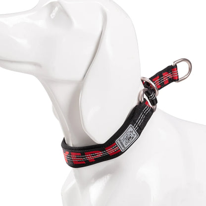 TRUELOVE P chain Pet Reflective Collar Nylon Best Neoprene Padded Half Choke Training  Lightweight Washable Sports YC1852