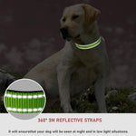 Choker Small Dog Collar Puppy Neck Collars for Dogs Big Decorative Dog Collar GXQ07 - shimendi