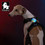 Truelove Safety LED Light for Pet Wear Collar Harness Backpack with Water Resistant and Long Continuous Battery Life TLD19102 - shimendi