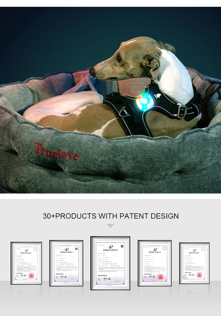 Truelove Safety LED Light for Pet Wear Collar Harness Backpack with Water Resistant and Long Continuous Battery Life TLD19102