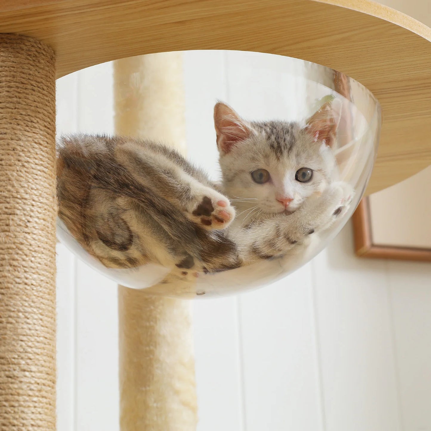 Multi-Level Cat Tree for Indoor Wood Cat Tower with Scratching Posts Spacious Condo Hammock Top Perch Cat Scratcher Cat Toys