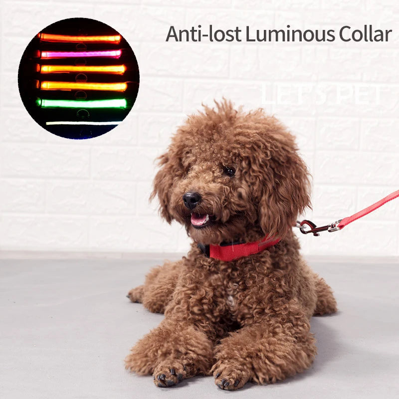 USB Charging LED Dog Collar Anti-lost Safety Night Light Luminous Dogs Necklace Adjustable Nylon Pet Glowing Collars Supplies
