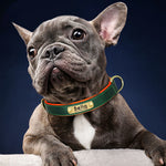 Customized PU Leather Nameplate Dog Collar Soft Padded Dogs Collars Free Engraving Name for Small Medium Large Dogs Adjustable - shimendi
