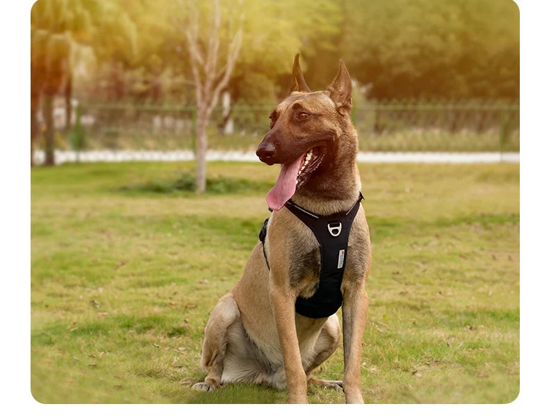 TRUE LOVE Pet Harness No Pull Nylon Reflective Dog Harness Adjustable Comfortable Control Step-in Brilliant Truelove TLH5654