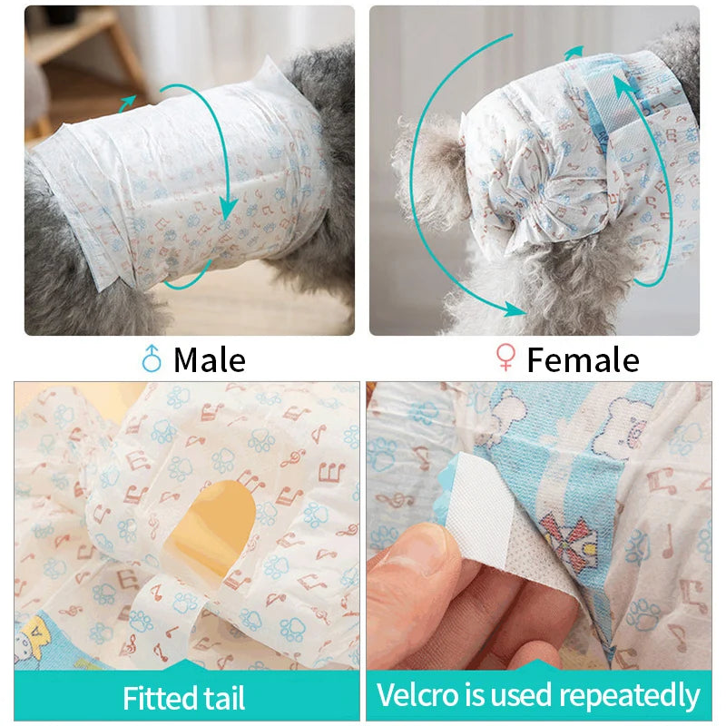 Super Absorption Dog Diapers Female Dog Physiological Pants Puppy Underwear Disposable Leakproof Nappies Dogs Sanitary Pants