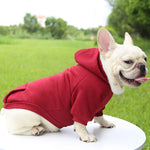 Fashion Dog Clothing Autumn And Winter Small Pet Clothes Thickening Warm Solid Color Two-Feet Hooded Wweater Casual Pet Products - shimendi