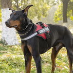 Chest Strap Dog Vest Harness Medium and Large Dog Border Collie Golden Hair Bucket Explosion proof Flushing Dog Harness - shimendi