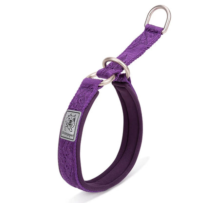 TRUELOVE Pet Collar Nylon Webbing P-chain Explosion-proof Neoprene Padding Pets Running Training Large Medium Small Dogs YC1851