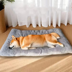 Large Plush Dog Bed Sofa Thickened Super Soft Polyester Pet Mat Dog Crate Mat Bed For Small Medium Large Dog Bed shimendi Sécurité et Confort pour Chien chat| Shimendi