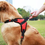 Saddle Dog Harness Reflective Adjustable Pet Harness No Pull Walking Training Small Medium Large Big Dogs Chest Strap Product - shimendi
