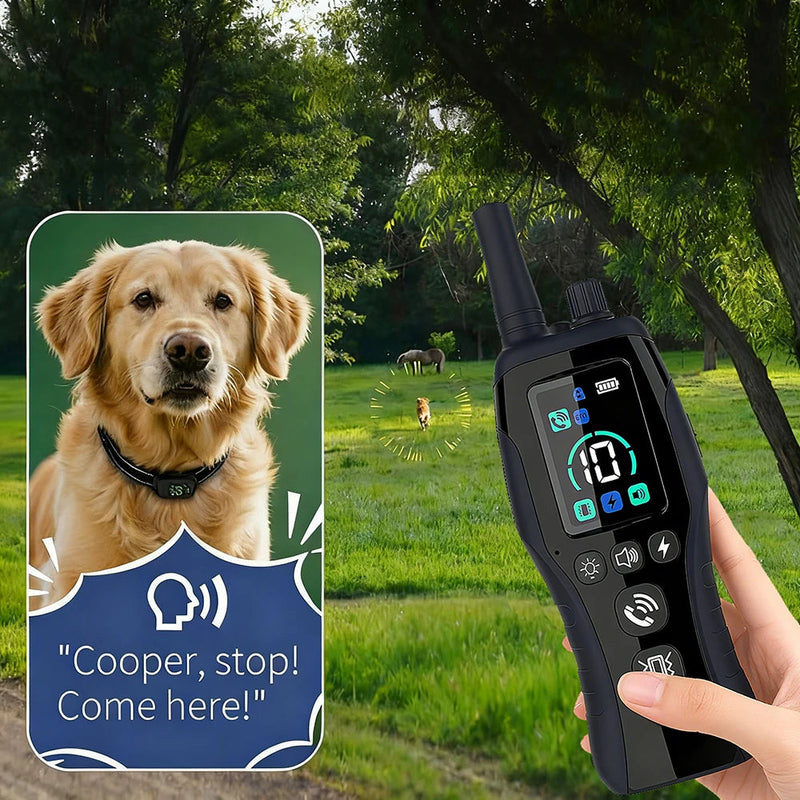 Dog Training Collar 6500FT with Remote Innovative IPX7 Waterproof with 4 Training Modes Rechargeable E-Collar for All Breeds shimendi Sécurité et Confort pour Chien chat| Shimendi