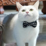 Cats Leash Stuff Pet Collar Cute Accessories Collars Harnesses Leads Kitten Small Animal Detachable Harness Fashion shimendi Sécurité et Confort pour Chien chat| Shimendi