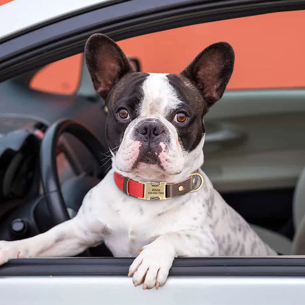 Free Custom PU Leather Dog Collar Engraved Dog Collars Adjustable Pet Buckle ID Necklace Durable for Small Medium Large Dogs Pug