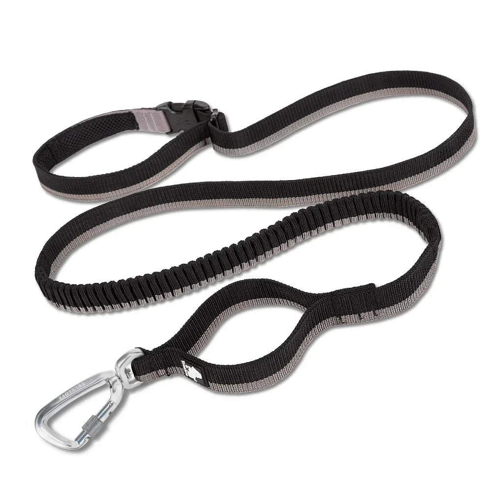 Truelove Pet Running Bungee Leash Hands Free Dog Leash Medium Large Dogs Professiona Carabiner Reflective Stitches NEW TLL2271
