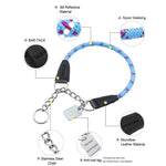 Truelove Pet P-Chain Nylon Dog Collar Stainless Steel Chain Pull-resistant Reflective Decorative Explosion-proof Walking TLC5373 - shimendi