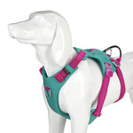 TRUELOVE Escape-proof Harness with Zippered Pocket Tactical Dog Vest Harness and Easy Control Training Military Backpack YH1811 - shimendi