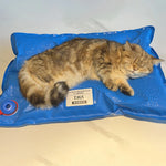 Animal Surgical Accessories Pet Vacuum Positioning Mat Small Veterinary Examination Pad Pet Care Room shimendi Sécurité et Confort pour Chien chat| Shimendi