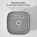 3L Cat Water Fountain Auto Recirculate Filter Large Capacity Filtring Cat Water Drinker USB Electric Mute Cats Water Dispenser - shimendi