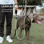 Truelove Pet Training Leash and Collar Durable Slip Lead Dog Leash Heavy Duty Comfortable Strong Rope Leash No Pull Pet TLL2575 shimendi Sécurité et Confort pour Chien chat| Shimendi