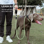 Truelove Pet Training Leash and Collar Durable Slip Lead Dog Leash Heavy Duty Comfortable Strong Rope Leash No Pull Pet TLL2575 - shimendi