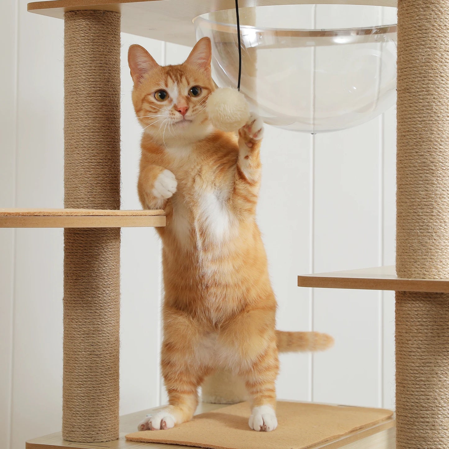 Multi-Level Cat Tree for Indoor Wood Cat Tower with Scratching Posts Spacious Condo Hammock Top Perch Cat Scratcher Cat Toys