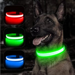 USB Rechargeable Luminous Collar Adjustable Led Glowing Dog Collar for Large Small Dogs Cat Night Light Collar Pet Safety Harnes - shimendi