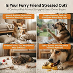 Snuffle Mat Dog Plush Toy For Carrot Field Nose Work Game Interesting Products Care Dogs Nose Training Pet Products Dog Stuff shimendi Sécurité et Confort pour Chien chat| Shimendi