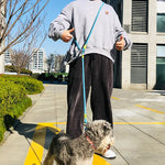 Reflective Nylon Leashes Pet Dogs Chain Traction Rope Leads for Running Dog Walking Free Hands Rope Chain for Small Large Dogs - shimendi
