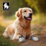 Truelove Breathable Dog Shoes with TPR Sole Flexible Protectable Soft Outsole Classic Outdoor Dog Boots All Breed 4Pcs TLS3962 - shimendi
