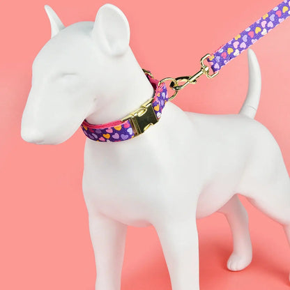 Luxury Brand Summer Colorful Season Adjutable Dog Collar And Leash Set For Small Medium Large Dogs
