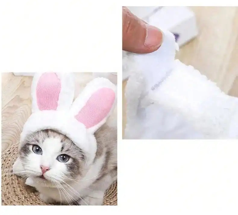 Pet Hat Cat Headgear Lion Rabbit Ears Dog Hat Dress up Pet Headwear Small Dog Pet Supplies