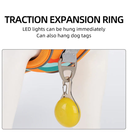 Adjustable Harness Dog Reflective Safety Training Walking Chest Vest Leads Collar For French Bulldog Pets Dogs Accessories