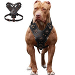 Genuine Leather Dog Harness Durable Large Dogs Harnesses Riveted Pet Training Vest With Metal Accessories For Medium Large Dogs shimendi Sécurité et Confort pour Chien chat| Shimendi